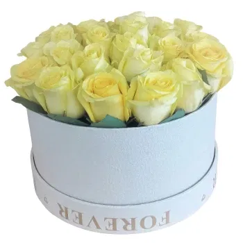 Algarvia bunga- Hadiah Menawan