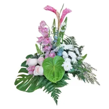 flores Algarvia floristeria -  Brillante Y Hermoso