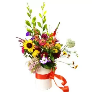 Arrarsa blomster- Farver i en kasse Blomst Levering