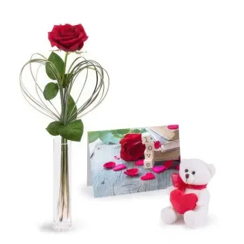  flowers  -  Teddy Bear with Postcard and Red Rose Delivery
