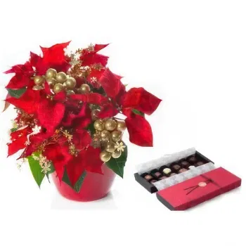  flowers  -  Red Poinsettia with Chocolates Flower Delivery