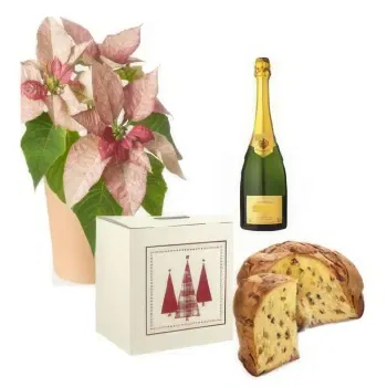  flowers  -  Pink Poinsettia with Panettone & Sparkling Flower Delivery