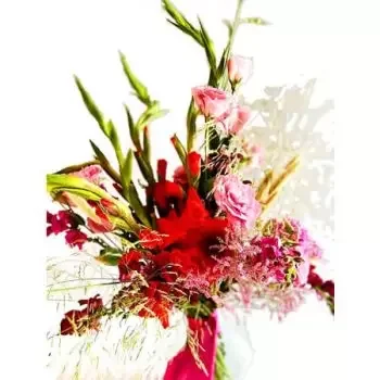 Bir Ghbalou λουλούδια- Το πολύτιμο μου Λουλούδι Παράδοση