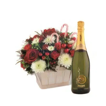  blomster- Juleblomstkurv med champagne Blomst Levering