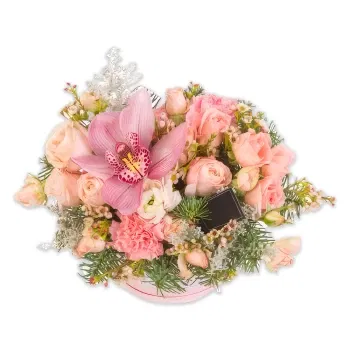 Egypt flowers  -  Centerpiece of light pink flowers Delivery