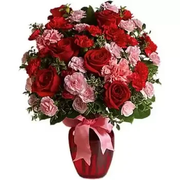 אליס גלן פרחים- תרקדי איתי פרח משלוח