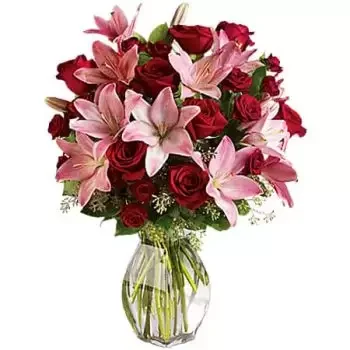 סנט קלייר פרחים- אהבה מפוארת פרח משלוח