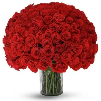 fleuriste fleurs de Dimos Tripolis- Bouquet de 100 roses rouges Fleur Livraison