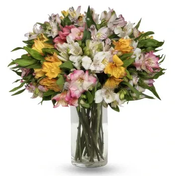 fleuriste fleurs de Dimos Tripolis- Bouquet d'alstroemerias multicolores Fleur Livraison