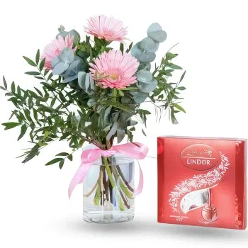 fleuriste fleurs de Dimos Tripolis- Délice de Gerbera Choco Fleur Livraison