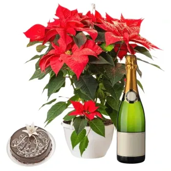 Morocco flowers  -  Red Poinsettia with choco cake and sparkling  Flower Delivery