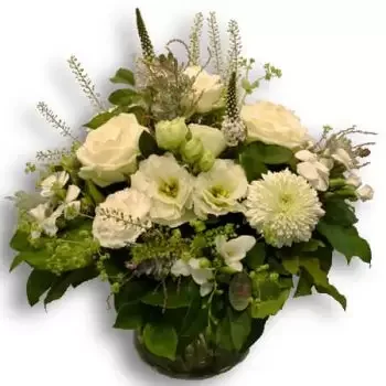 بائع زهور برن- حلم باللون الأبيض زهرة التسليم