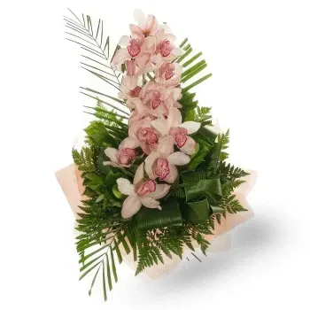 Muntenegru flori- Buchet de orhidee Cymbidium Floare Livrare