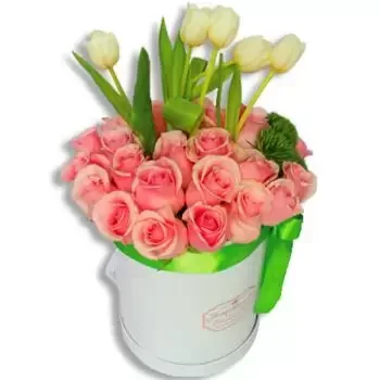 פורטו ריקו פרחים- יופי שובה לב פרח משלוח