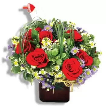 סן חואן פרחים- תרבות פרחים מושלמת פרח משלוח
