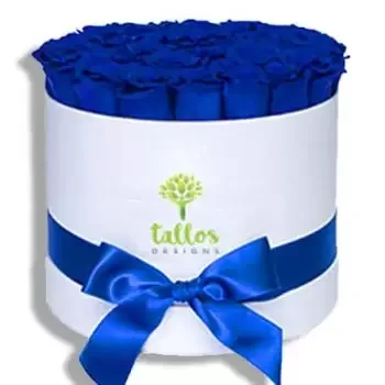 flores San Juan floristeria -  Nieve azul Ramos de  con entrega a domicilio