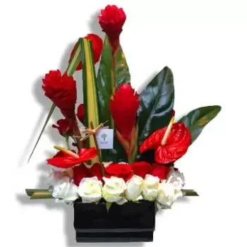 San Juan online Florist - Tropical feelings Bouquet