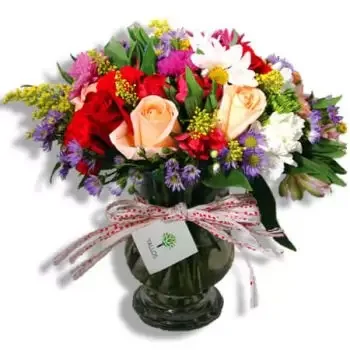 Гуайнабо цветя- Целувка от пролетта Цвете Доставка