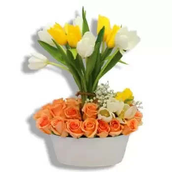 Гуайнабо цветя- Наситено щастие Цвете Доставка