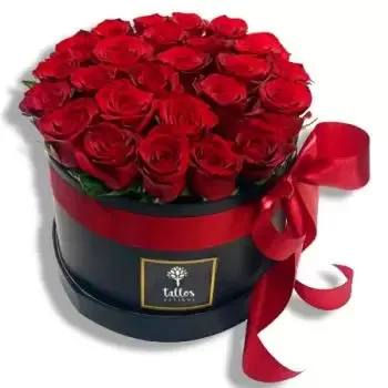 ดอกไม้ ซานฮวน - ความรักและความหลงใหล ดอกไม้ จัด ส่ง