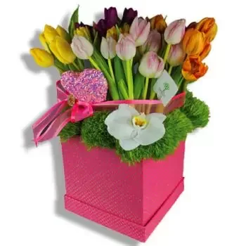 카구아스 꽃- 하트 비트 꽃 배달