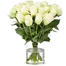 Tilburg Blumen Florist- Weiße Rosen (40cm) Bouquet/Blumenschmuck