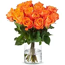 Holland blommor- Orange rosor (40cm) Bukett/blomsterarrangemang