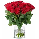 The Hague flowers  -  Red roses (40cm) Flower Bouquet/Arrangement