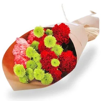 China online Florist - Elegant Carnation and Chrysanthemum Bouquet Bouquet