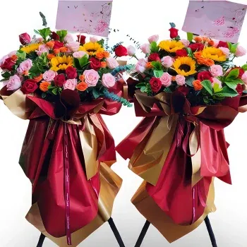 Etuoke Qi Online blomsterbutikk - Stående kurv med levende roser Bukett