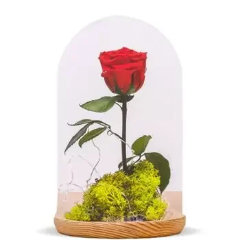 Altet פרחים- ורוד ברירה פרח משלוח