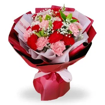 China online Florist - Charming Carnations with Baby's Breath Bouquet