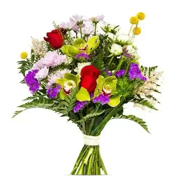 ดอกไม้ บายาโดลิด - บาร์เซโลน่ามิกซ์ฟลาวเวอร์ ดอกไม้ จัด ส่ง