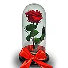 Colombia flowers  -  Luxury Preserved Rose in Glass Dome Flower Bouquet/Arrangement