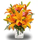 Asipulo flowers  -  Exotic Orange Flower Bouquet/Arrangement