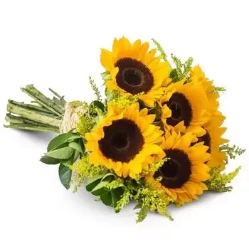 بائع زهور أندراداس- باقة من عباد الشمس زهرة التسليم