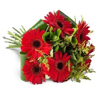 סאו ויסנטה דה אסטרלה פרחים- זר של 6 גרברות בצבעים זהים פרח משלוח