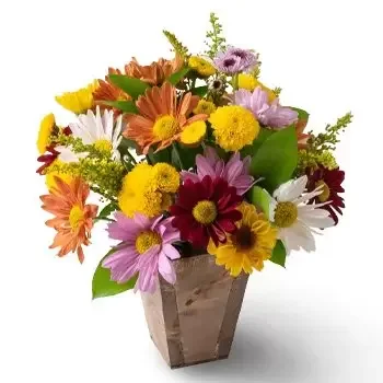 Anguereta bunga- Susunan Aster dan Dedaunan Warna-warni Bunga Pengiriman