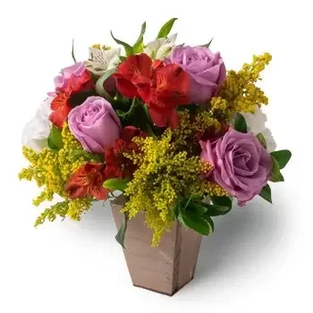 Abaiara bloemen bloemist- Bicolor Arrangement van rozen en Astromelia Bloem Levering