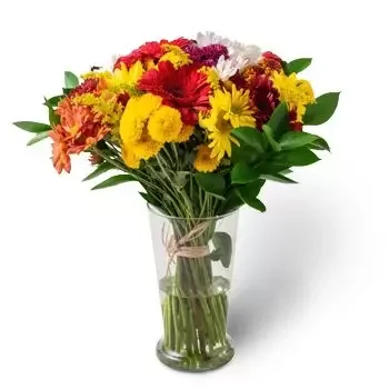 Americana bunga- Susunan Besar Bunga Ladang Pot Warna-warni Bunga Pengiriman