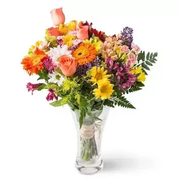 Acarau blomster- Medium arrangement av fargerike pottefelt blo Blomst Levering