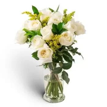 Aloandia květiny- Uspořádání 15 bílých růží ve váze Květ Dodávka