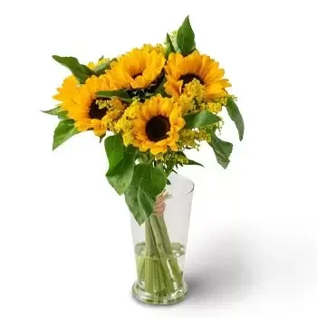 Salvador kedai bunga online - Bunga Matahari Periang Sejambak