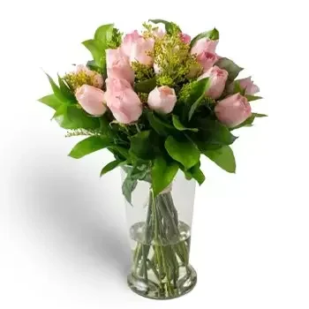 Amargosa blomster- Arrangement av 18 rosa roser og potteløvverk Blomst Levering
