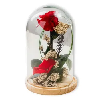 Caldas de Vizela Florista online - Amor de São Valentim Rosa Vermelha Eterna Buquê