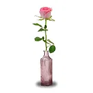 Amsterdam flowers  -  Message of Love Flower Bouquet/Arrangement