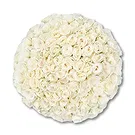 Holland flowers  -  100 Premium white Roses | Grower Flower Bouquet/Arrangement