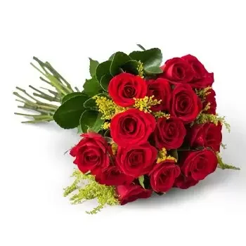 بائع زهور أغوا بوا- باقة تقليدية من 19 وردة حمراء زهرة التسليم