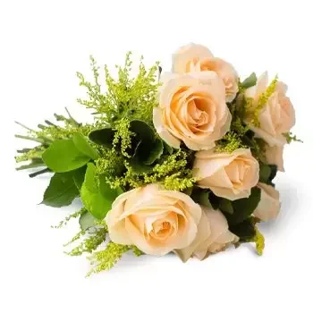 fleuriste fleurs de America Dourada- Bouquet de 8 Roses de Champagne Fleur Livraison
