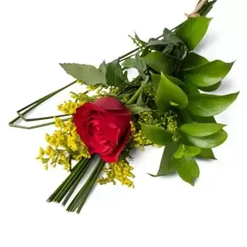 Amandina květiny- Červená Osamělá růže Květ Dodávka